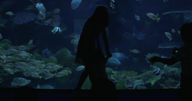 曼谷泰国海洋水族馆暹罗海洋世界男人。照片年轻的女人孩子